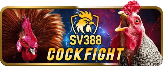 Về 88b